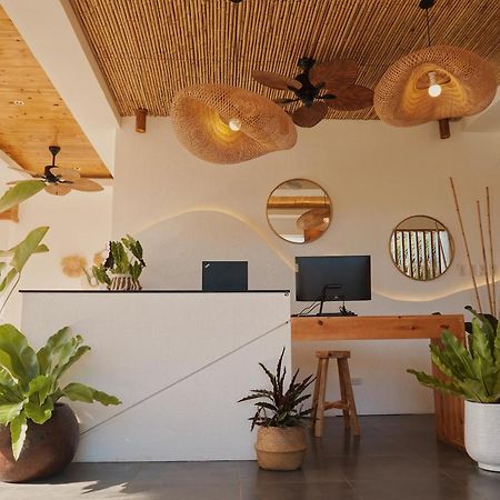 Molly Resort Bohol Taporok Eksteriør billede